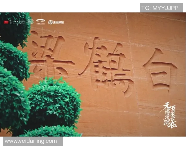 重庆街舞队意识表现的深度数据分析与文化探讨