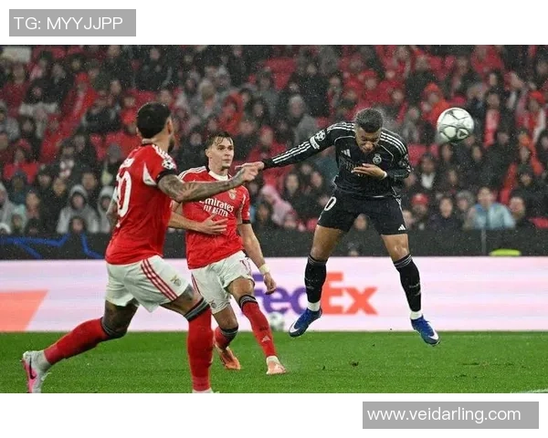 本菲卡逆袭马竞全场沸腾精彩集锦回顾欧冠激战瞬间