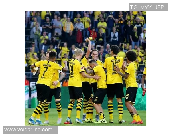 世界杯精彩对决多特蒙德逆转莱比锡全场沸腾战术解析